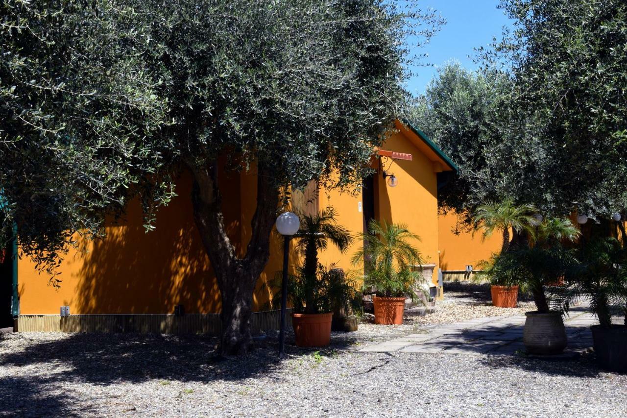Riviera Degli Eucalipti - Cottage In Riva Al Mare Acireale Exteriör bild