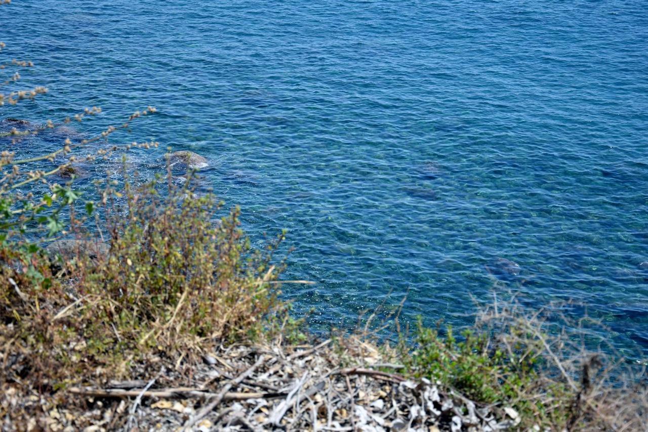 Riviera Degli Eucalipti - Cottage In Riva Al Mare Acireale Exteriör bild