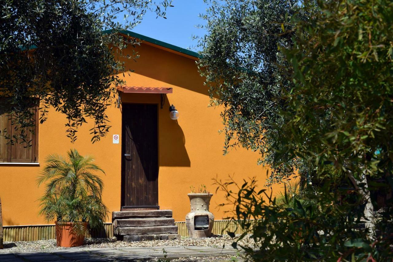 Riviera Degli Eucalipti - Cottage In Riva Al Mare Acireale Exteriör bild