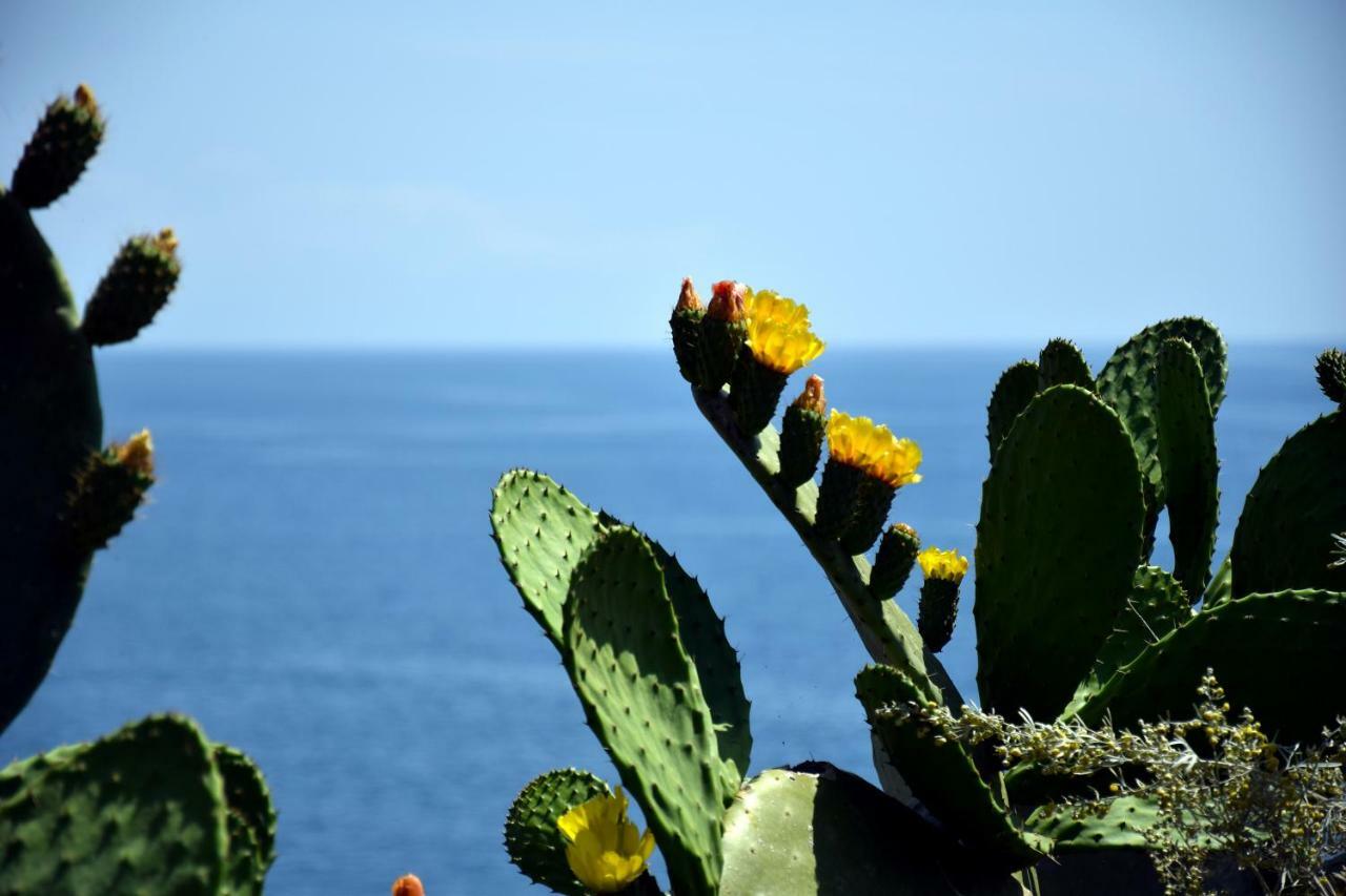 Riviera Degli Eucalipti - Cottage In Riva Al Mare Acireale Exteriör bild
